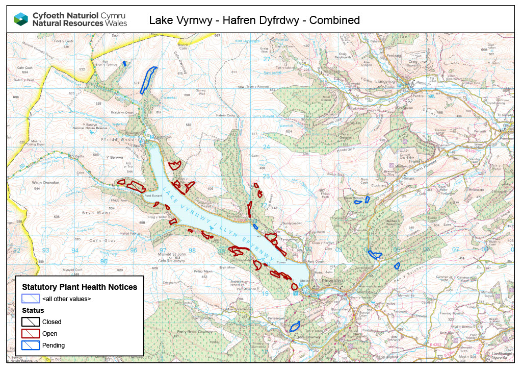 2021-02-19 Lake Vyrnwy - Hafren Dyfrdwy - Larch treatment.jpg